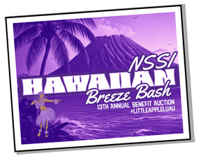 hawaii auction logo