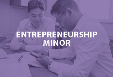 entrepreneurship minor