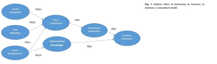 mentor figure